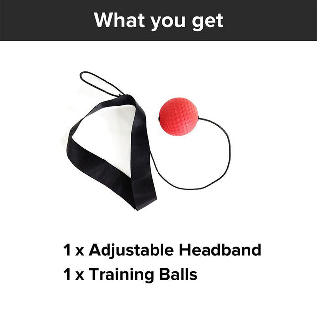 Boxing Reflex Ball