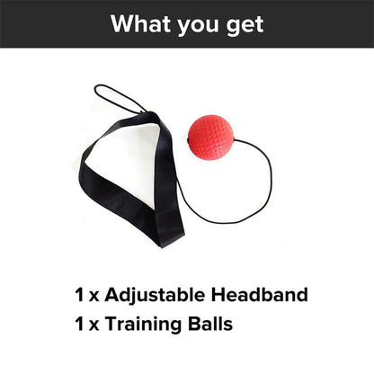 Boxing Reflex Ball